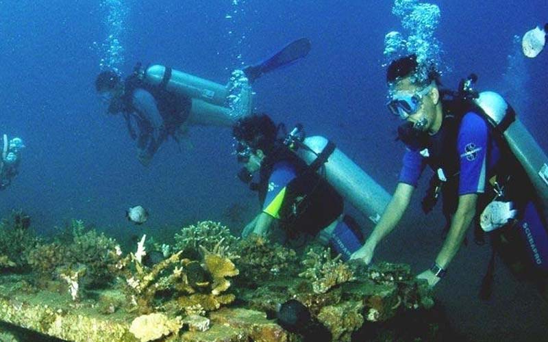 diving coral reef restoration