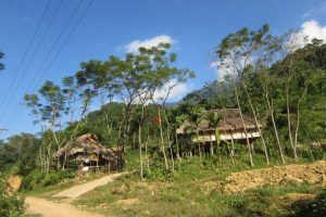 teaching program vietnam