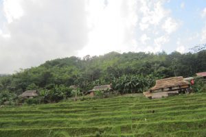 teaching program vietnam