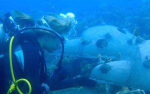 coral reef in bali indonesia
