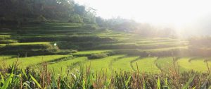 vietnam south east asia