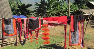 cultural studies and community development in vietnam