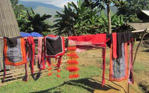 cultural studies in vietnam