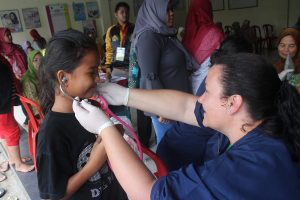 Primary Healthcare and Nursing in Indonesia