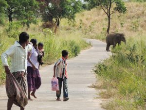 Wildlife Conservation Placement in Sri Lanka Work alongside locals in support of conservation and research activities.