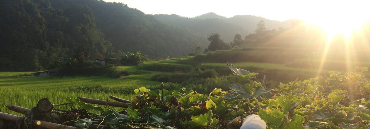 Exploring Vietnam through the eyes of chefs and travellers