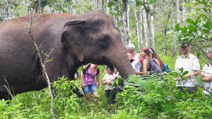 Trekking in Mondulkiri National Park, Cambodia
