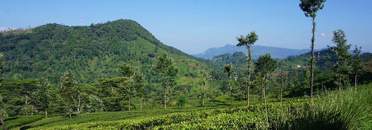 Why We Love Travelling to the Remote Village of Digana