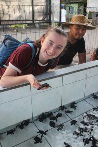 Releasing baby turtles with the Turtle Conservation Center in Bali3