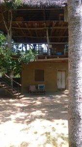 Tree house suite 2