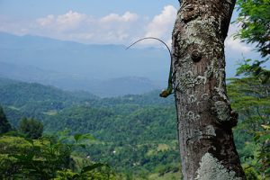 Traveling to Sri Lanka