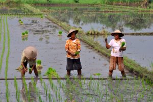 Traveling with Students