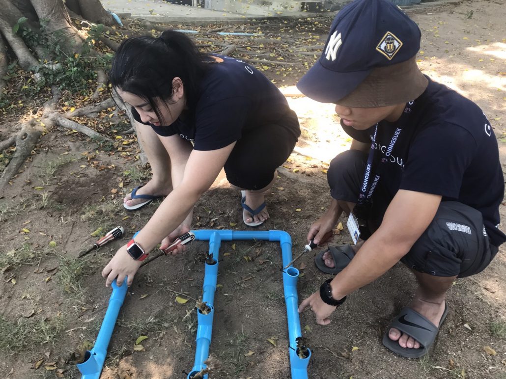 Coastal Ecosystem Restoration In Thailand