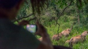 WILDLIFE CONSERVATION IN SRI LANKA