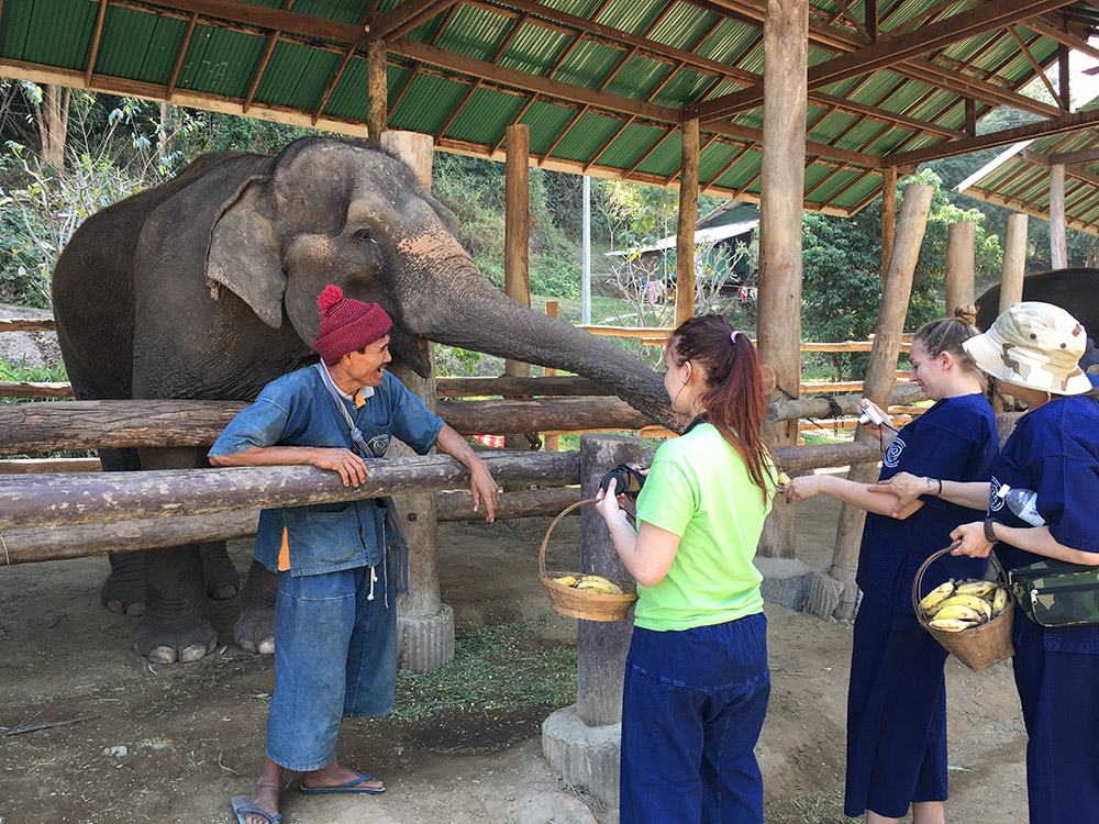 Hill Tribes & Elephant Care in Thailand