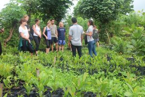 Social Entrepreneurship in Bali, Indonesia
