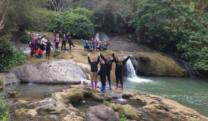 Top Tips for Environmentally Friendly Travel
